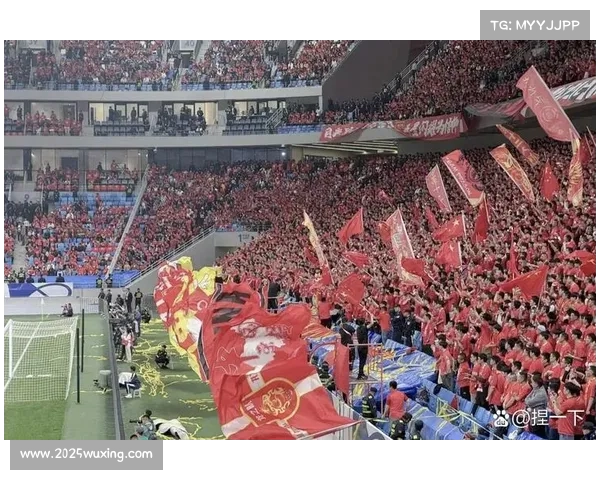 全明星投票开启，球迷参与热情高涨